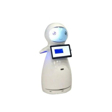 Electronic Toy Style Family Companion Service Robot