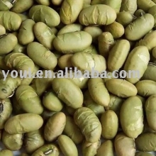 Salted flavor roasted green beans