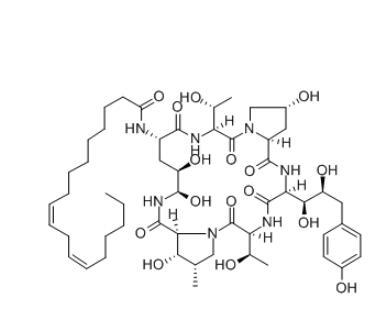 Antifungal Potent Echinocandin B CAS 54651-05-7