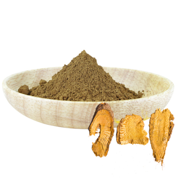 Cosmetic Polygonum Cuspidatum extract Resveratrol Powder