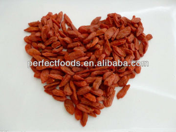 Ningxia conventional wolfberry