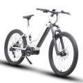 48V1000W Spectre St Battery Dual Step-thru Suspensão Full Suspension Electric Mountain Biing Hunting/Fishing Bike