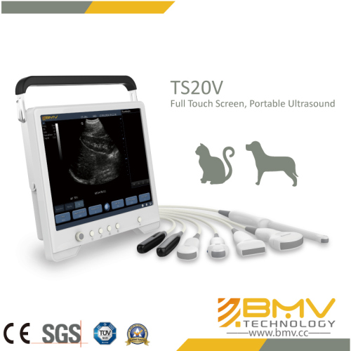 Medical Equipment Ts20V Ultrasound Imaging Scanner