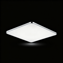LED Ceiling Light with Remote Control Function