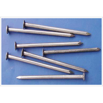 High Quality All Size Common Nail