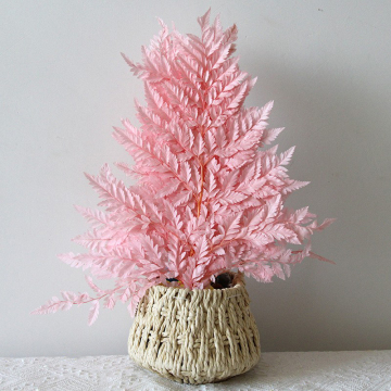 White Arachniodes Leather Leaf Fern for Christmas & Easter Decor