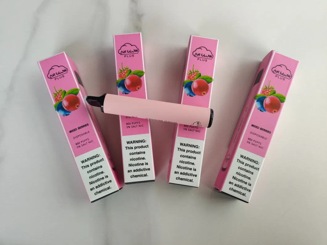 USA Hot Disposable E-Cigarette Vape Pen with 1000 Puffs Good Taste