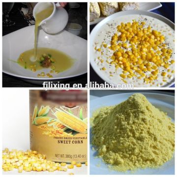 100% natural Freeze-dried sweet corn powder(40-80mesh) dried foods