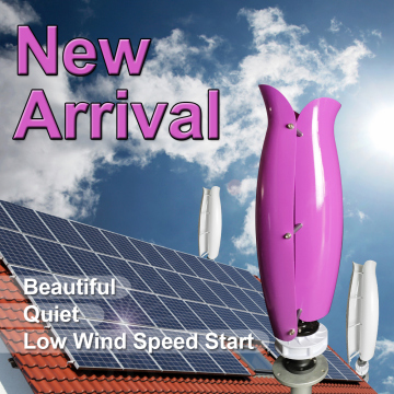 Vertical Axis Wind Turbine 600W System