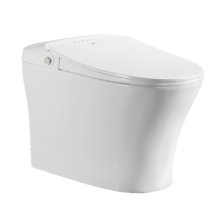 Intelligent One-Piece Smart WC for Bathroom Home Decoration