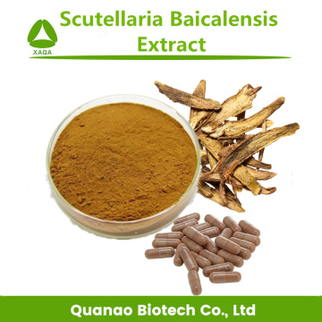 Scutellaria Baicalensis Baical Coolulcap Root Extract Powder