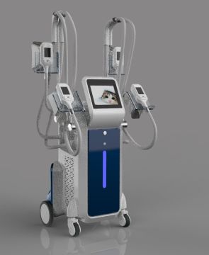 can you remove fat cells