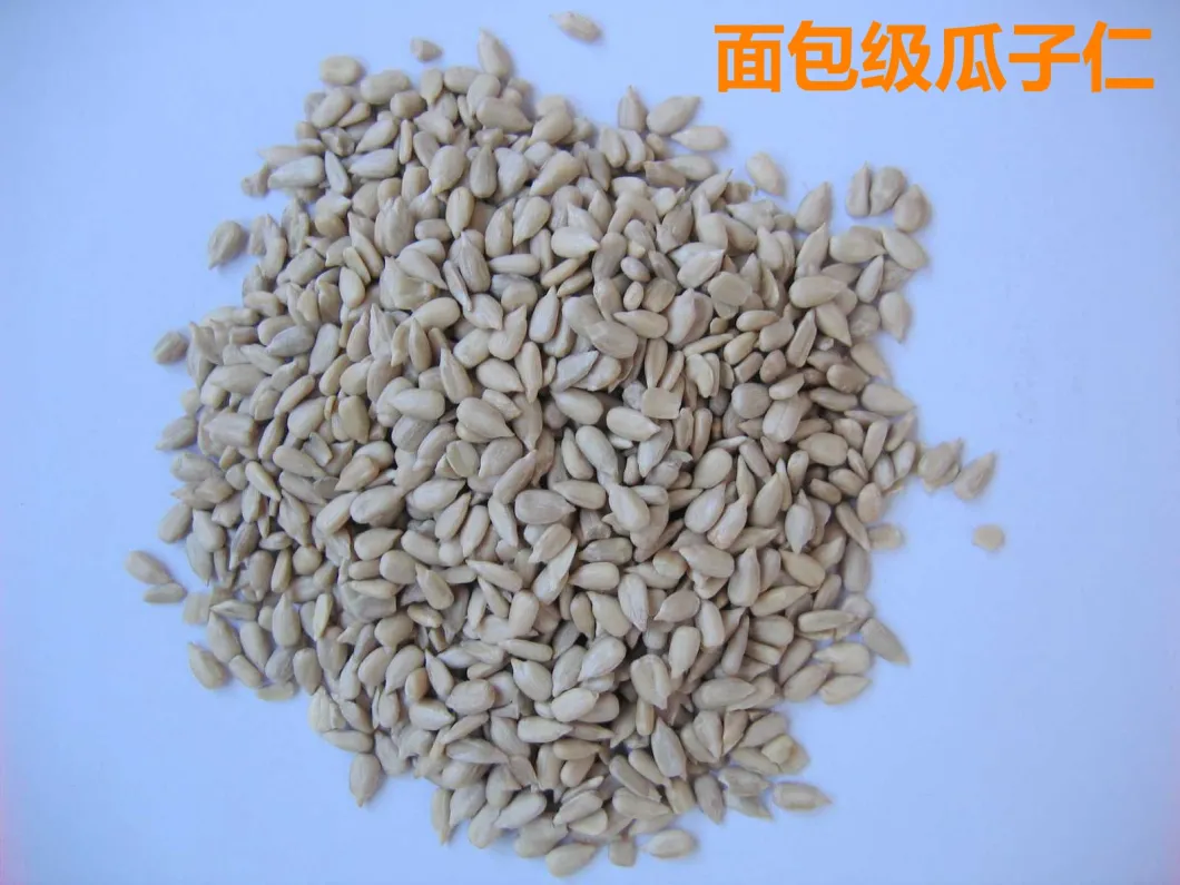 Hot Sale Original Sunflower Seeds Kernels