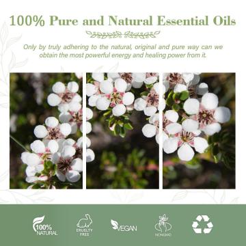 Bulk Organic Manuka Essential Oil for Aromatherapy Diffuser, Oily Skin, Hair