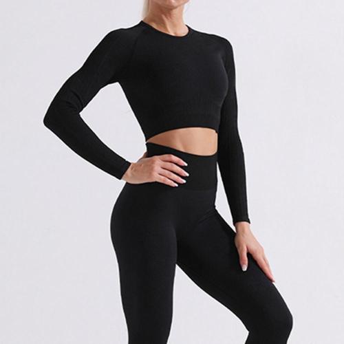 Seamless Women&#39;s 2 Piece Outfits Workout