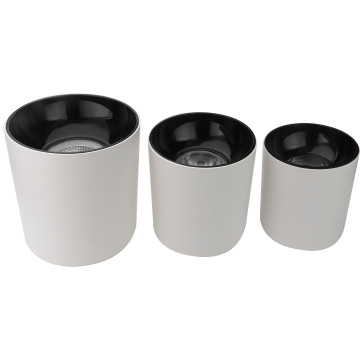 Outdoor IP65 Waterproof 50W/60W Down Light