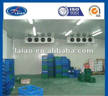 blast freezer cold room (cold room/ freezer)