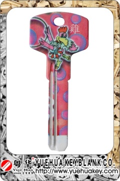 Color Painted Key Blank
