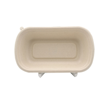 100% Compostable 750ml Rectangle Sugarcane Container