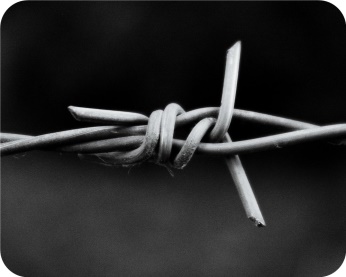 Normal twist barbed wire