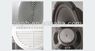 Directional Ceiling Speaker, Waterproof Pa Amplifier Speaker
