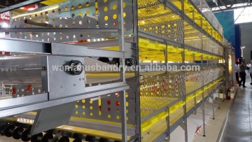 h type broiler cage feeding system