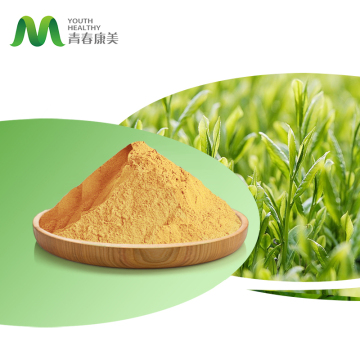 Instant Green Tea Powder