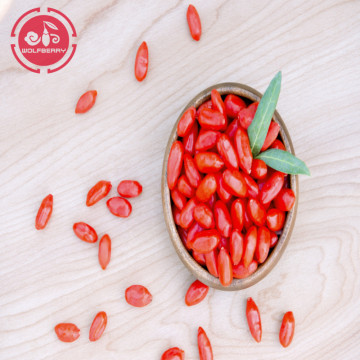 Vitamins Low Fat Nutrition Low pesticide Goji Berries