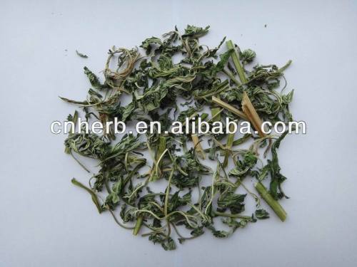 100% Natural dried Motherwort herb