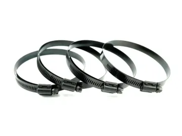 Stainless Steel Black Hose Clamps