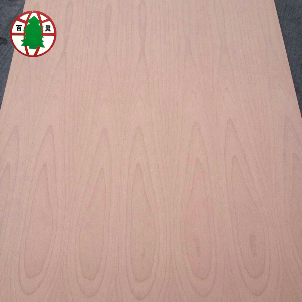 Beech Veneer Mdf03