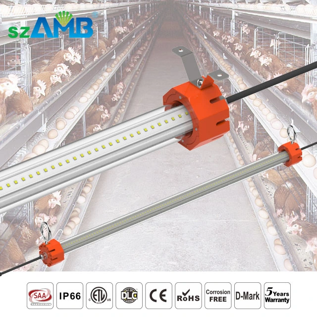 Flicker Free IP66 LED T13 Lighting System for Poultry Farming