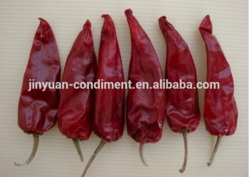 Bottom price hot dried Jinta Puya Chili