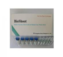 Rabies Vaccine In Older Dogs