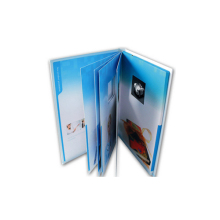 Custom Design Leaflet Printing Brochure