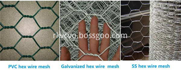 hexagonal wire mesh