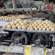 High Alumina Ball Support Media for Chemical Industry