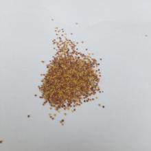 2018 Touchhealthy Supply white clover seeds