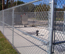 6 foot chain link fence