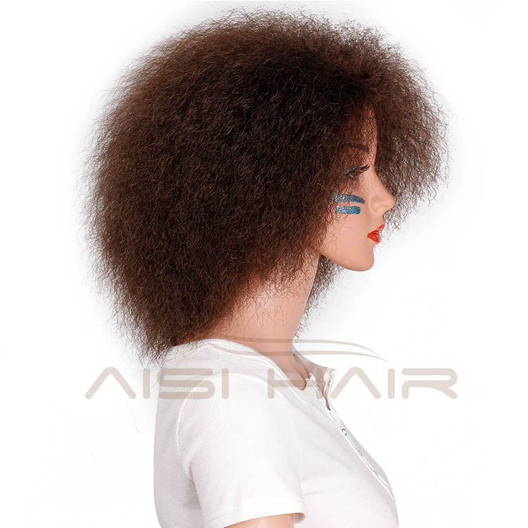 Aisi Hair Short Afro Wig Brown Synthetic kinky Curly Wigs for Women Fluffy African American Natural Black Hair Wigs
