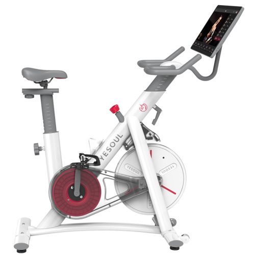 Yesoul S3 Plus spinning bike with screen indoor