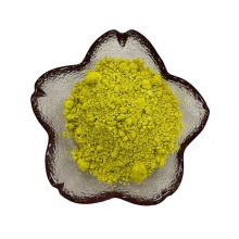 95% quercetin powder flos sophorae immaturus extract powder