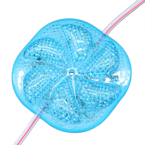 Sun Pattern Flower Shape Bright RGB Led Module