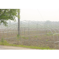 Single greenhouse polycarbonatevegetable tunnel greenhouse