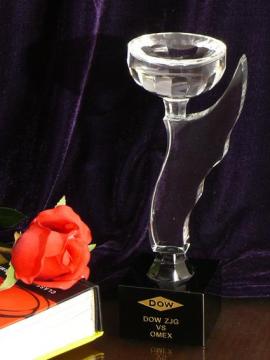 Crystal Cups Awards