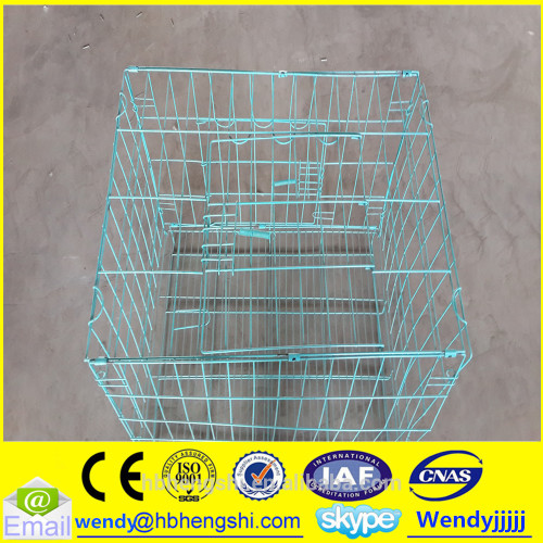 Bird cage welded mesh/bird cage welded wire mesh roll/bird cage wire mesh