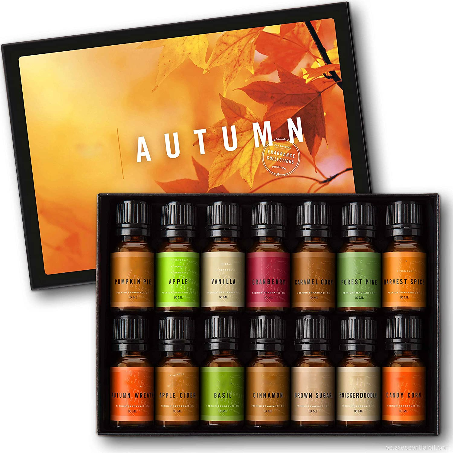 Juego de otoño de 14 aceites aromáticos de grado premium - Aromas de 10 ml