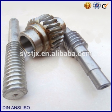 Reducer worm gear