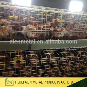 hot-selling agricultural chicken cage for little chicken