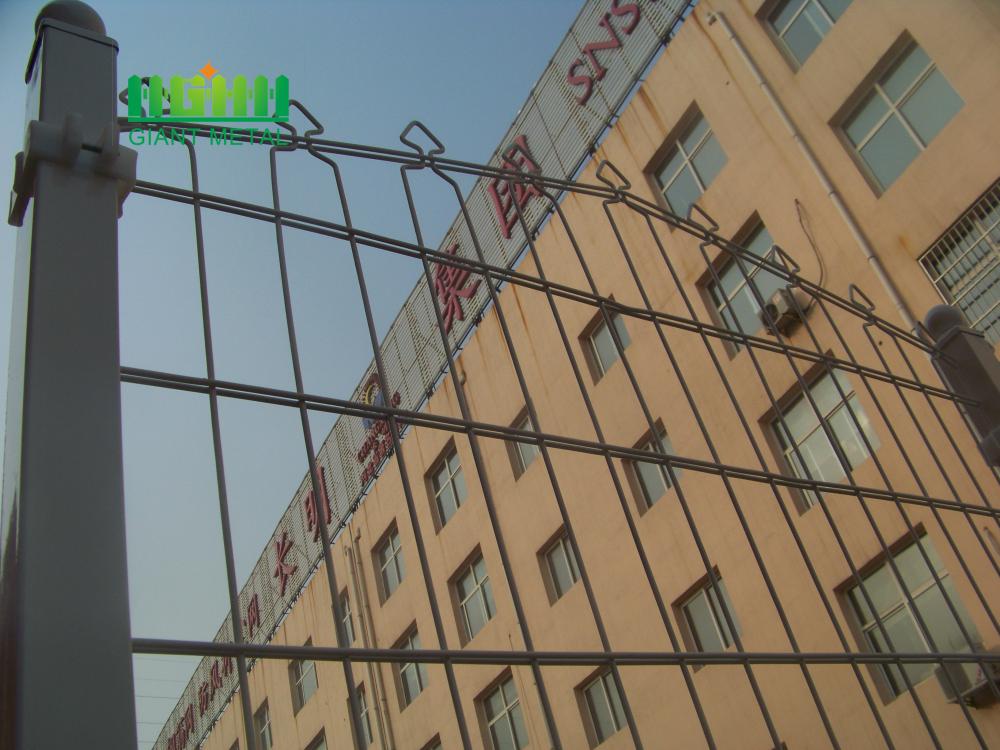 Double Wire Prestige Mesh